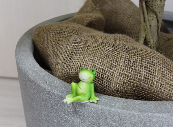 リフォーム大学をきっかけにリフォームを決断